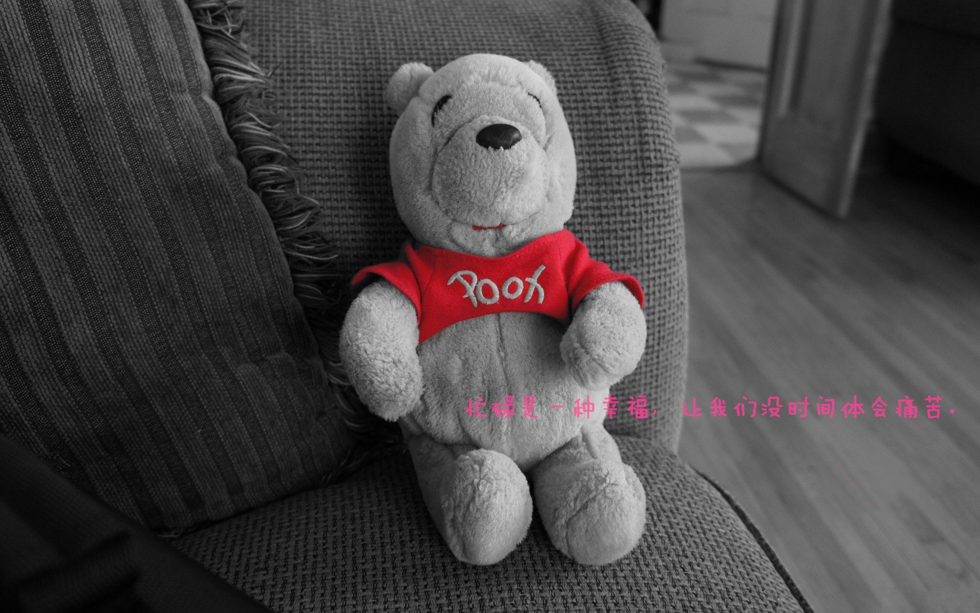 世界滑雪锦标赛：中国代表团取得历史最佳成绩，世界滑雪比赛