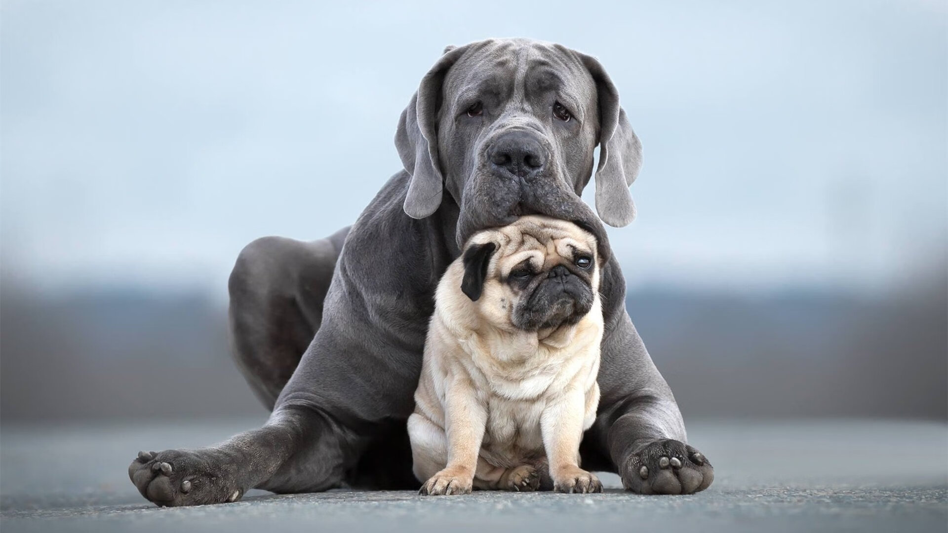 冰雪旅游火爆，滑雪爱好者春节涌入东北赛道，东北滑雪圣地