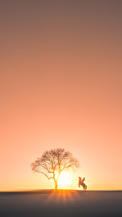 史上最“炸裂”盖帽：谁的封堵最令人震撼？，盖帽最厉害的人