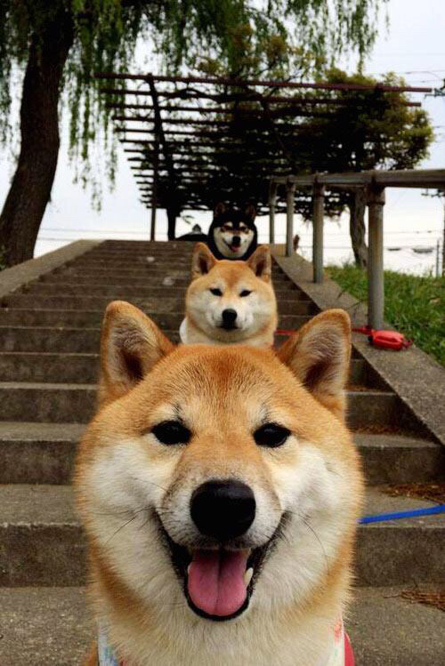 守望先锋 战队新赛季目标明确，守望先锋2022赛季